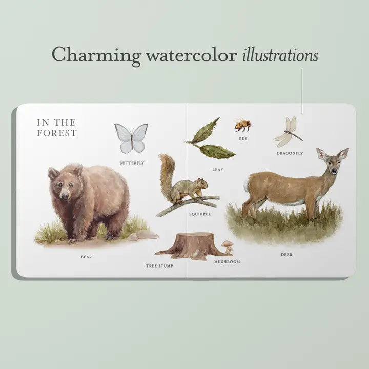 Our Big Book Of First Words