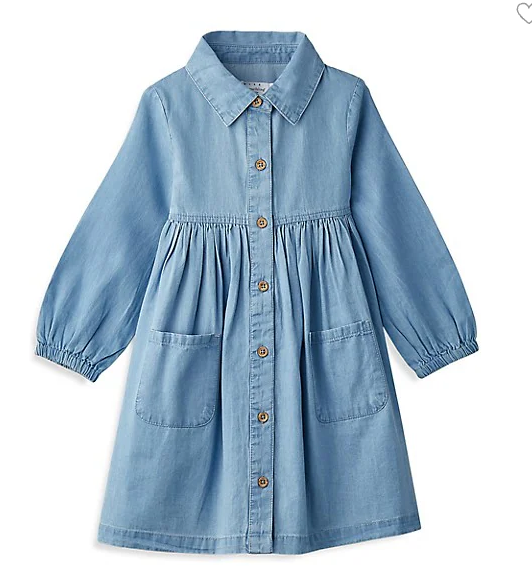Chambray Button Down Dress