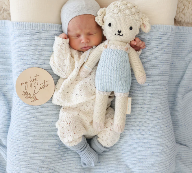 Benjamin The Lamb