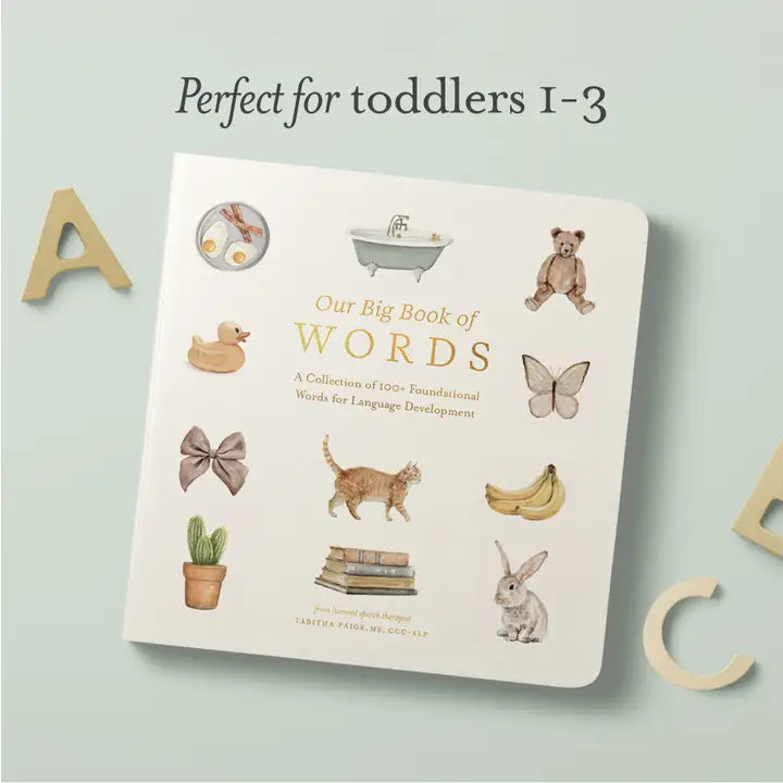 Our Big Book Of First Words