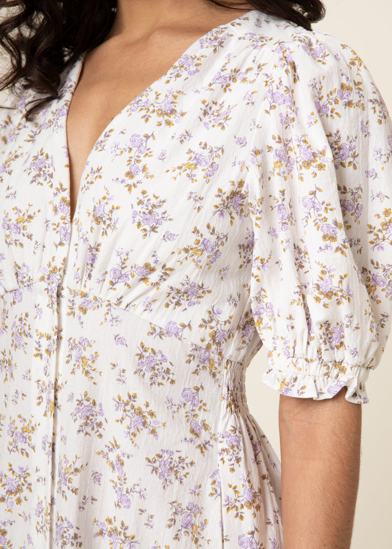 Gabrielle Woven Dress