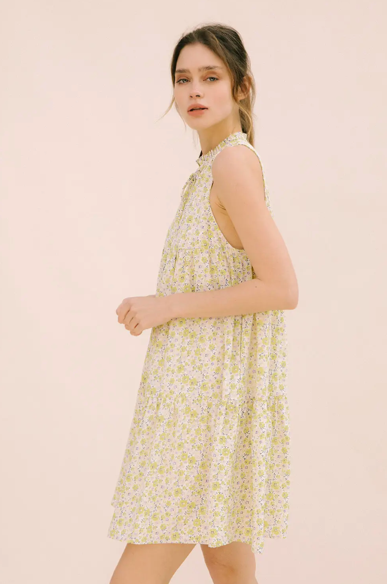 Rosie Trapeze Dress