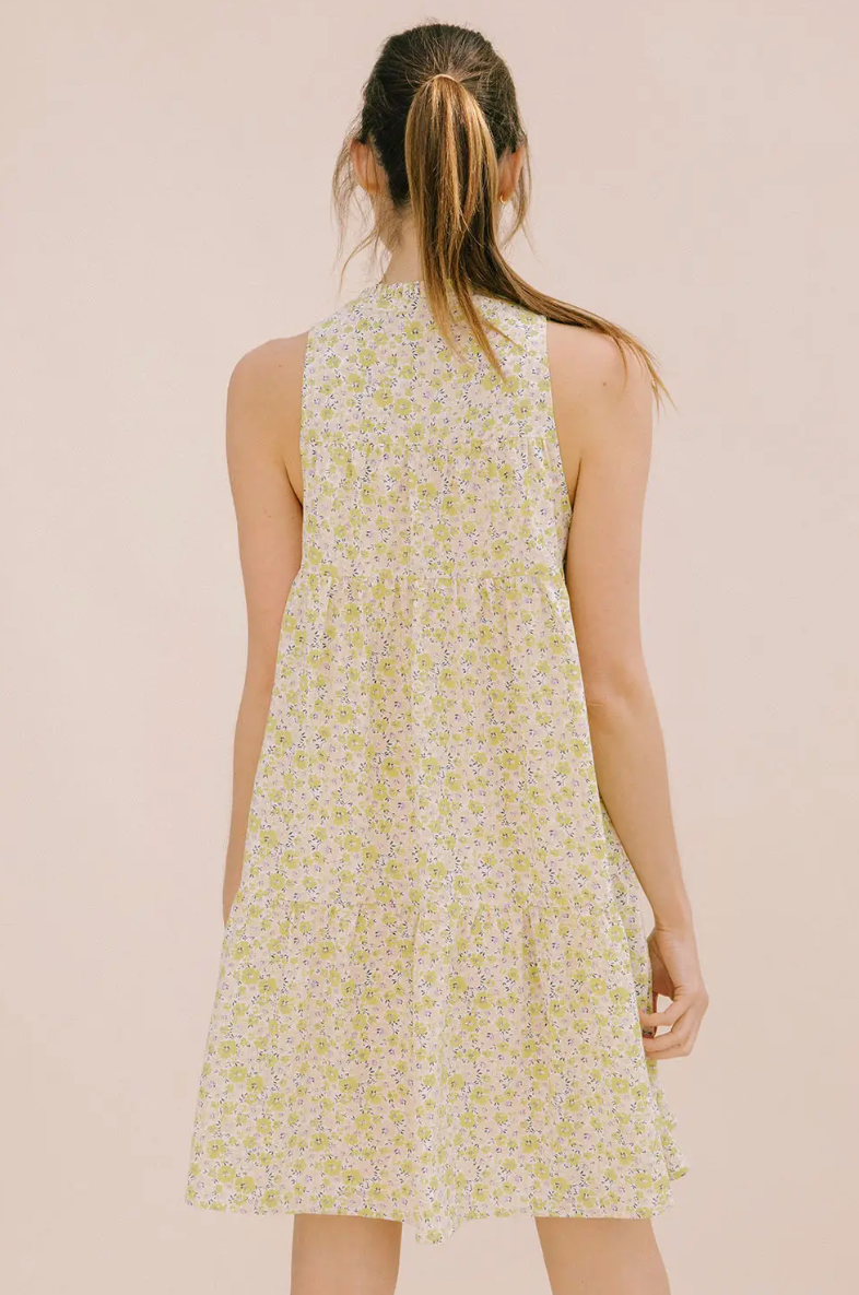 Rosie Trapeze Dress