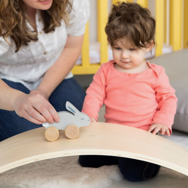 Wooden Bunny Push Toy
