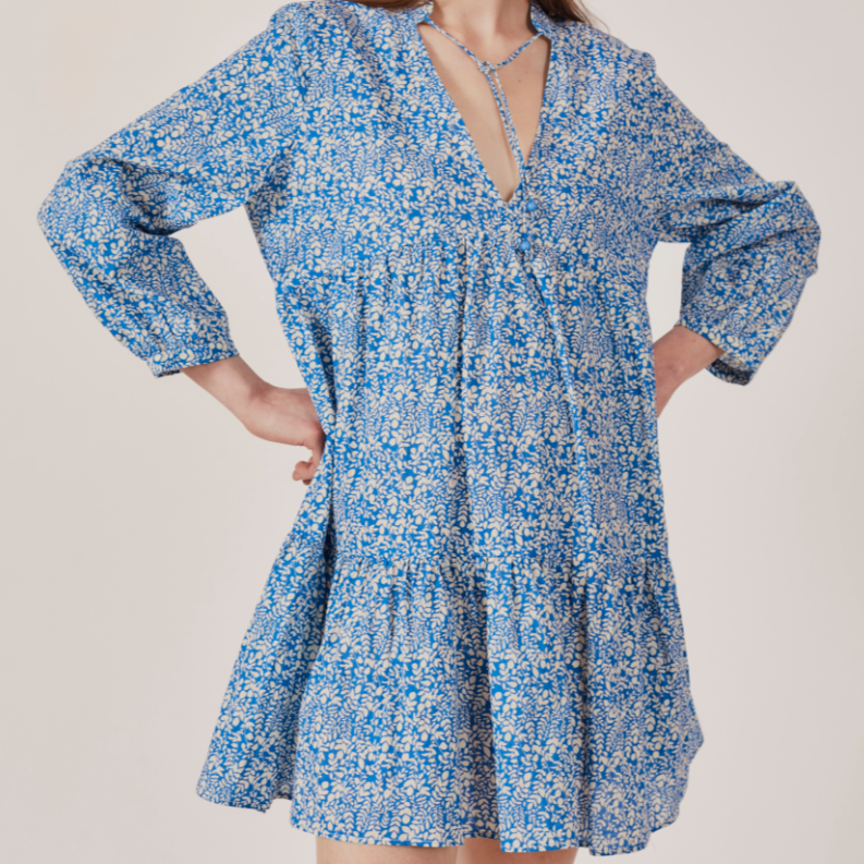 Sirius Printed Dress