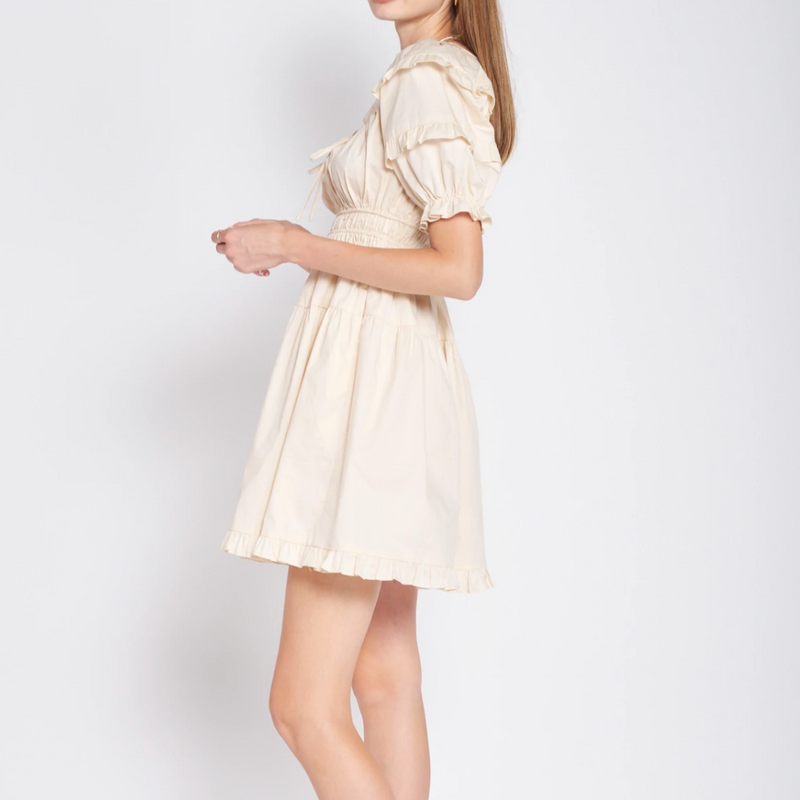 Sveta Mini Dress